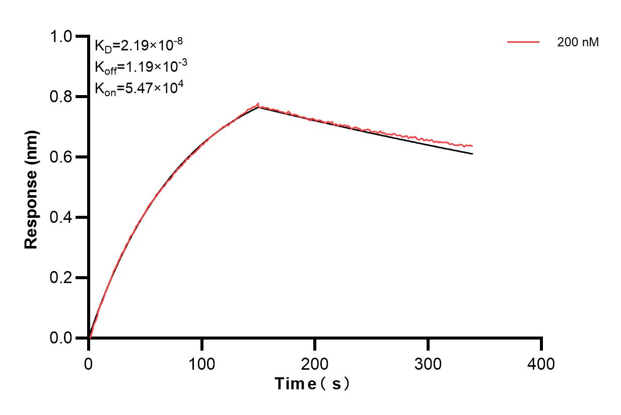 Affinity and Kinetic Characterization of 83465-1-PBS