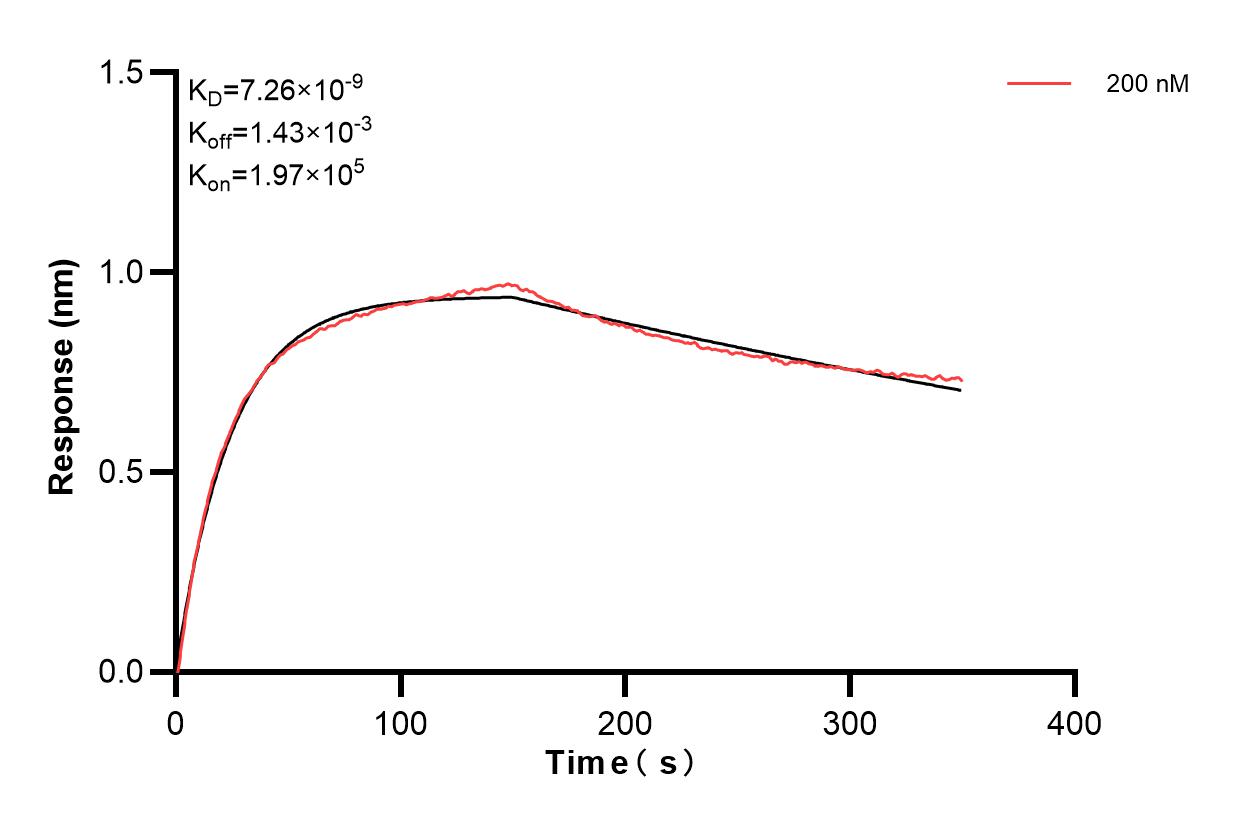 Affinity and Kinetic Characterization of 83465-2-PBS