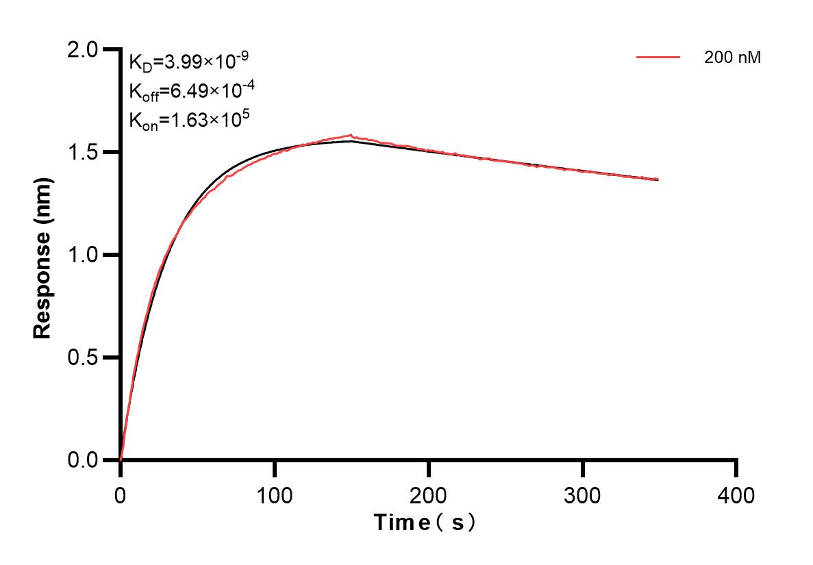 Affinity and Kinetic Characterization of 83465-4-PBS