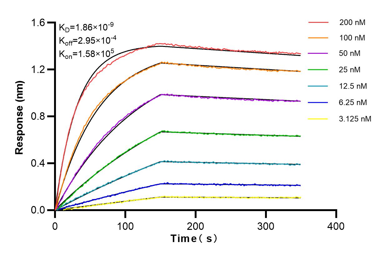 Affinity and Kinetic Characterization of 83466-1-PBS