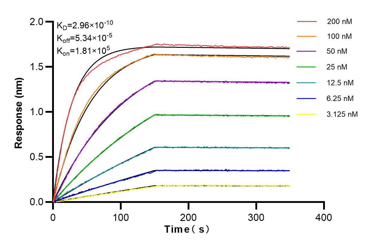 Affinity and Kinetic Characterization of 83467-2-RR