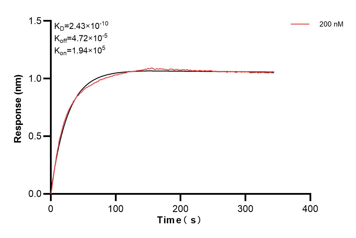 Affinity and Kinetic Characterization of 83468-1-PBS