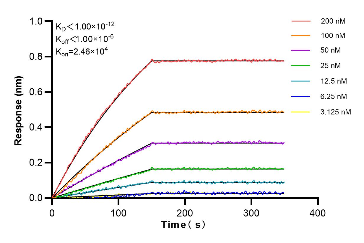 Affinity and Kinetic Characterization of 83468-6-RR