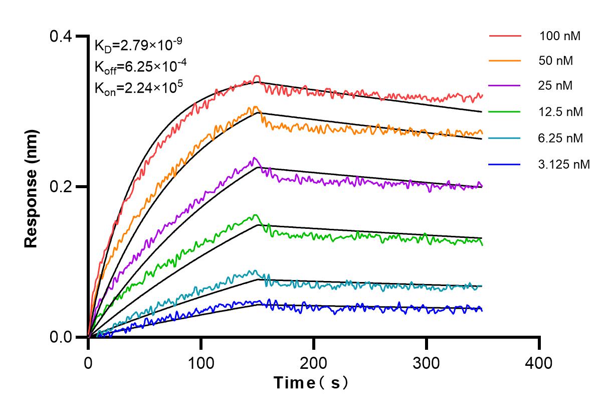 Affinity and Kinetic Characterization of 83476-5-RR