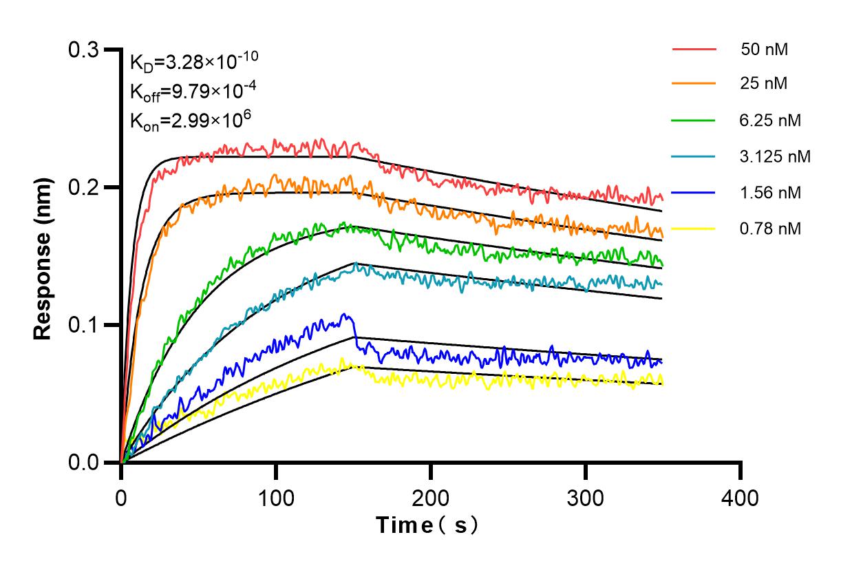 Affinity and Kinetic Characterization of 83476-6-RR