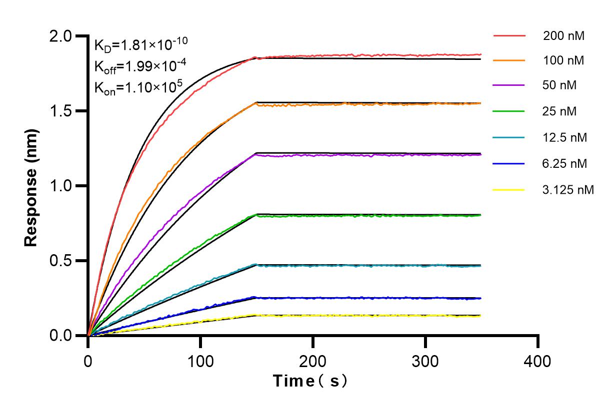 Affinity and Kinetic Characterization of 83479-4-RR