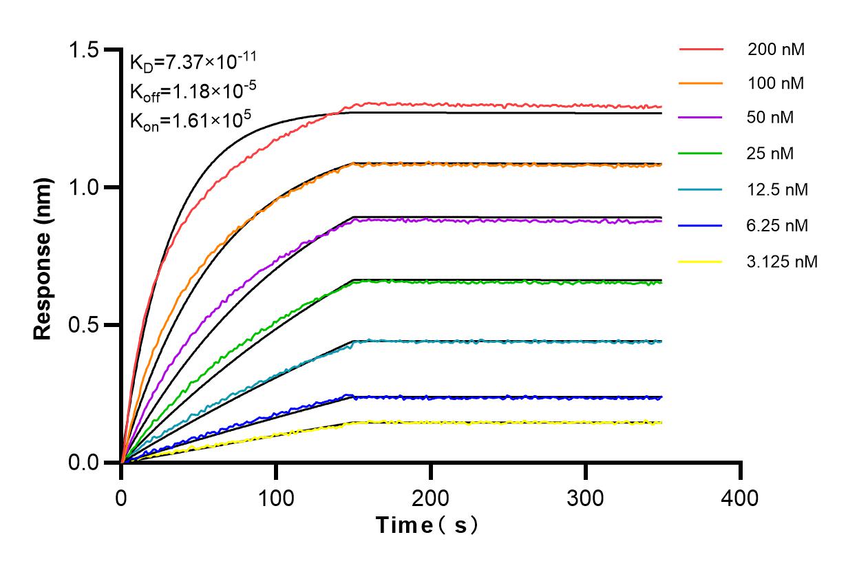 Affinity and Kinetic Characterization of 83480-5-RR