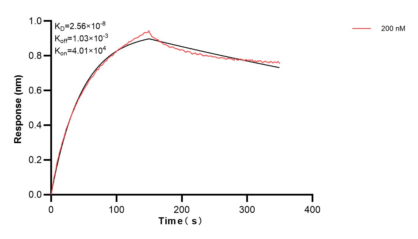 Affinity and Kinetic Characterization of 83482-1-PBS