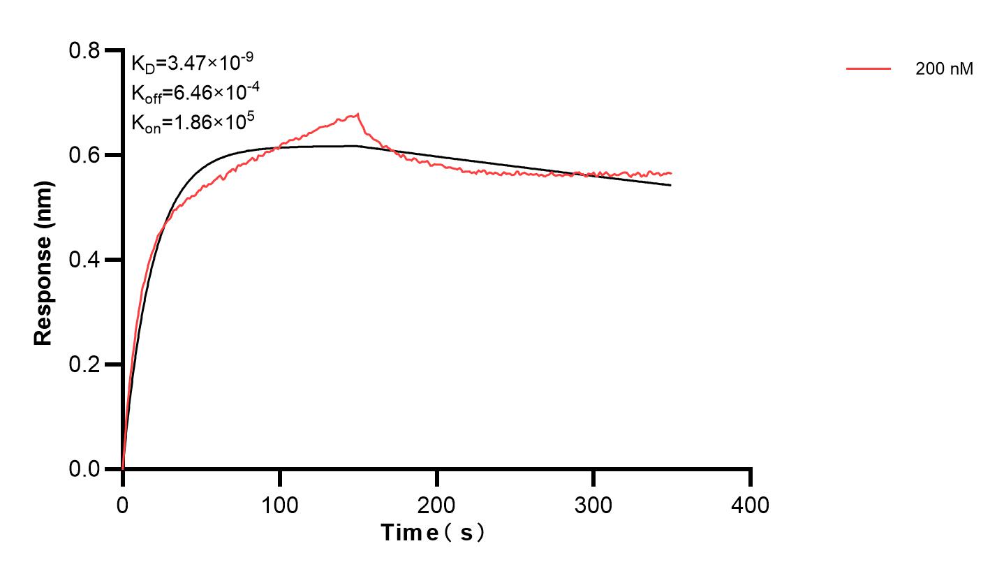 Affinity and Kinetic Characterization of 83482-2-PBS