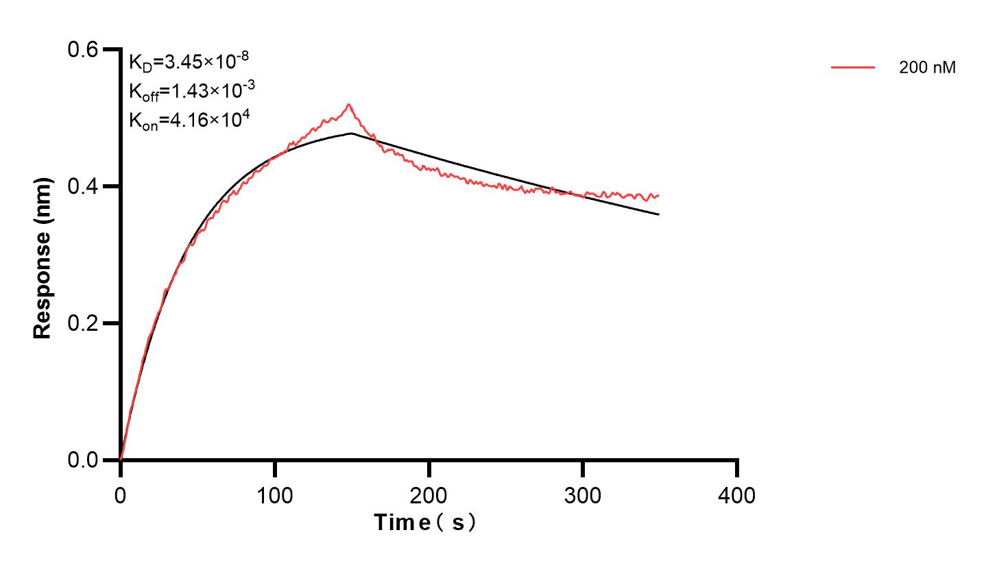 Affinity and Kinetic Characterization of 83482-3-PBS