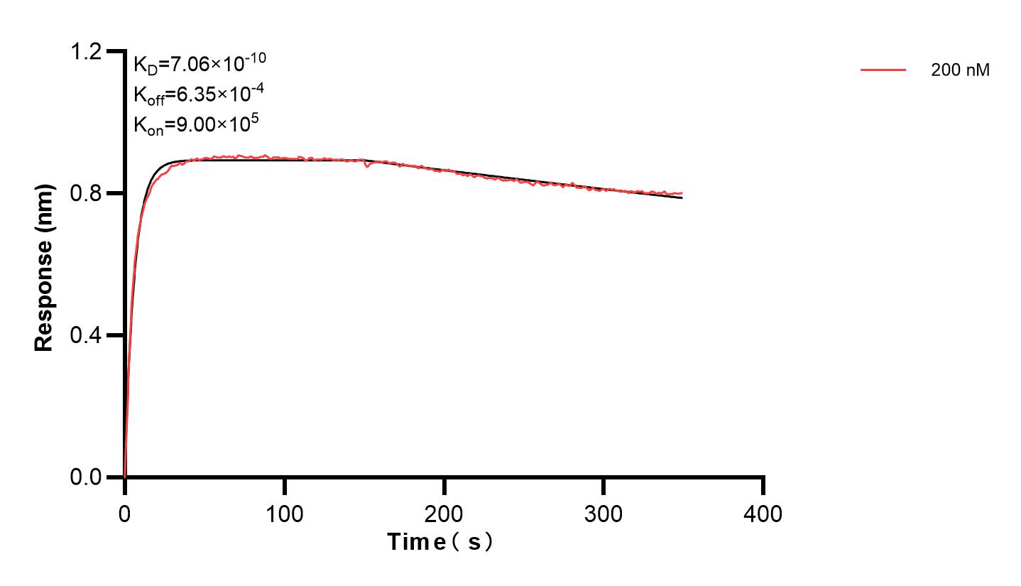 Affinity and Kinetic Characterization of 83483-1-PBS