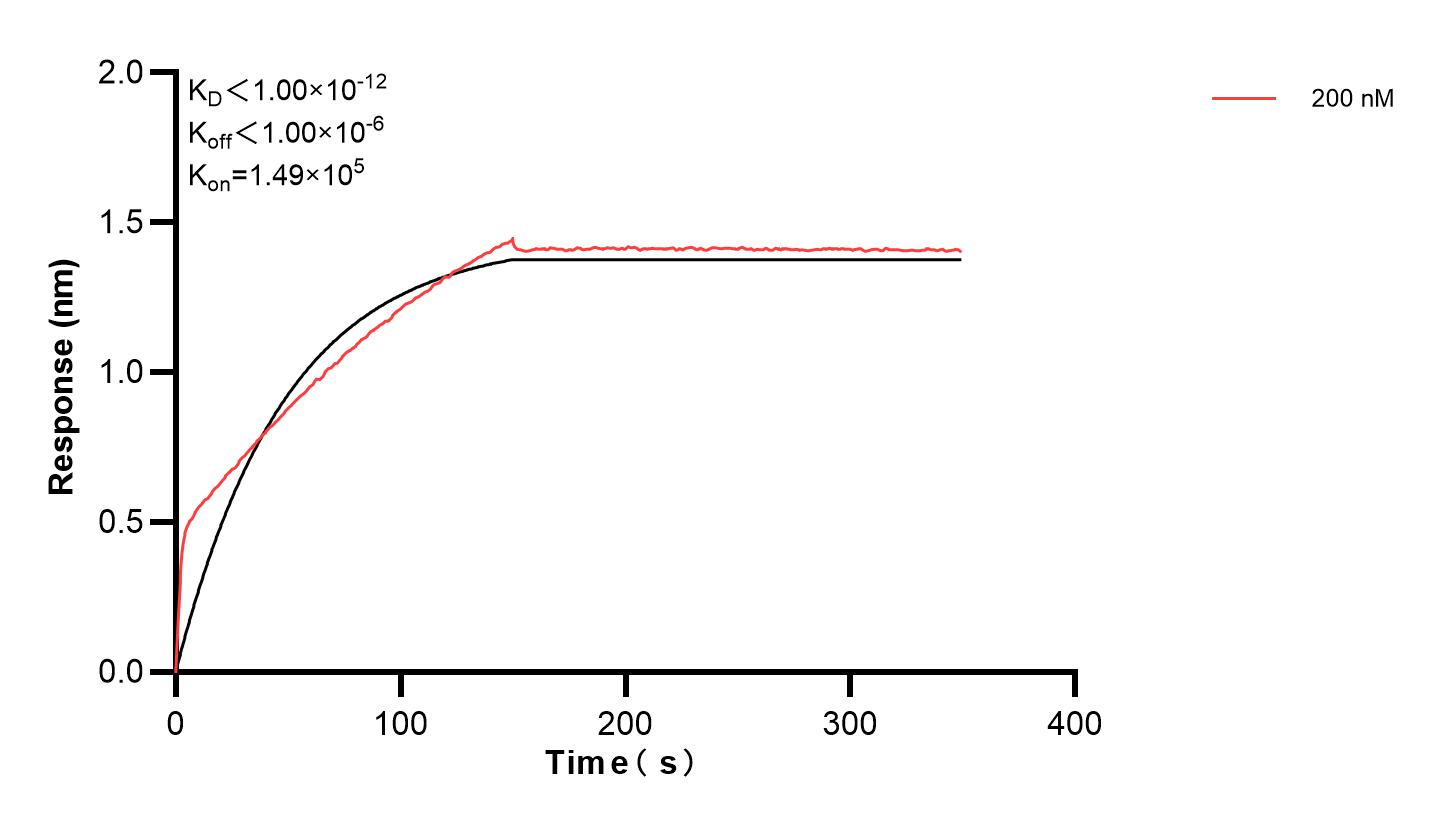 Affinity and Kinetic Characterization of 83483-2-PBS