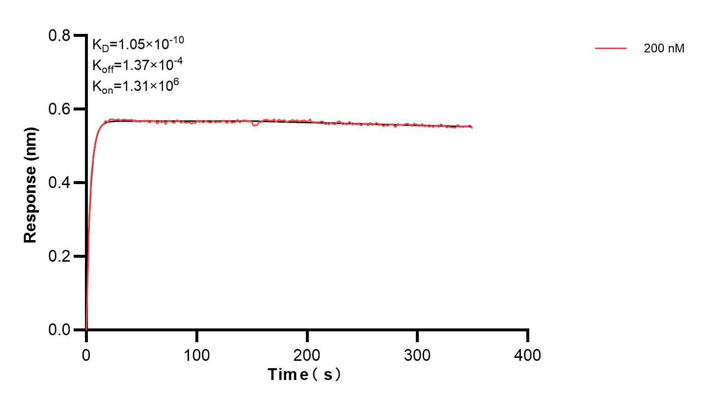 Affinity and Kinetic Characterization of 83483-3-PBS