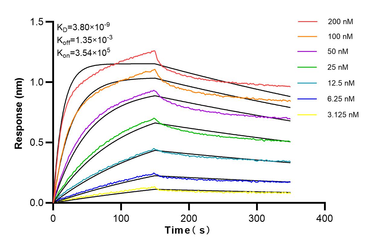 Affinity and Kinetic Characterization of 83488-4-RR