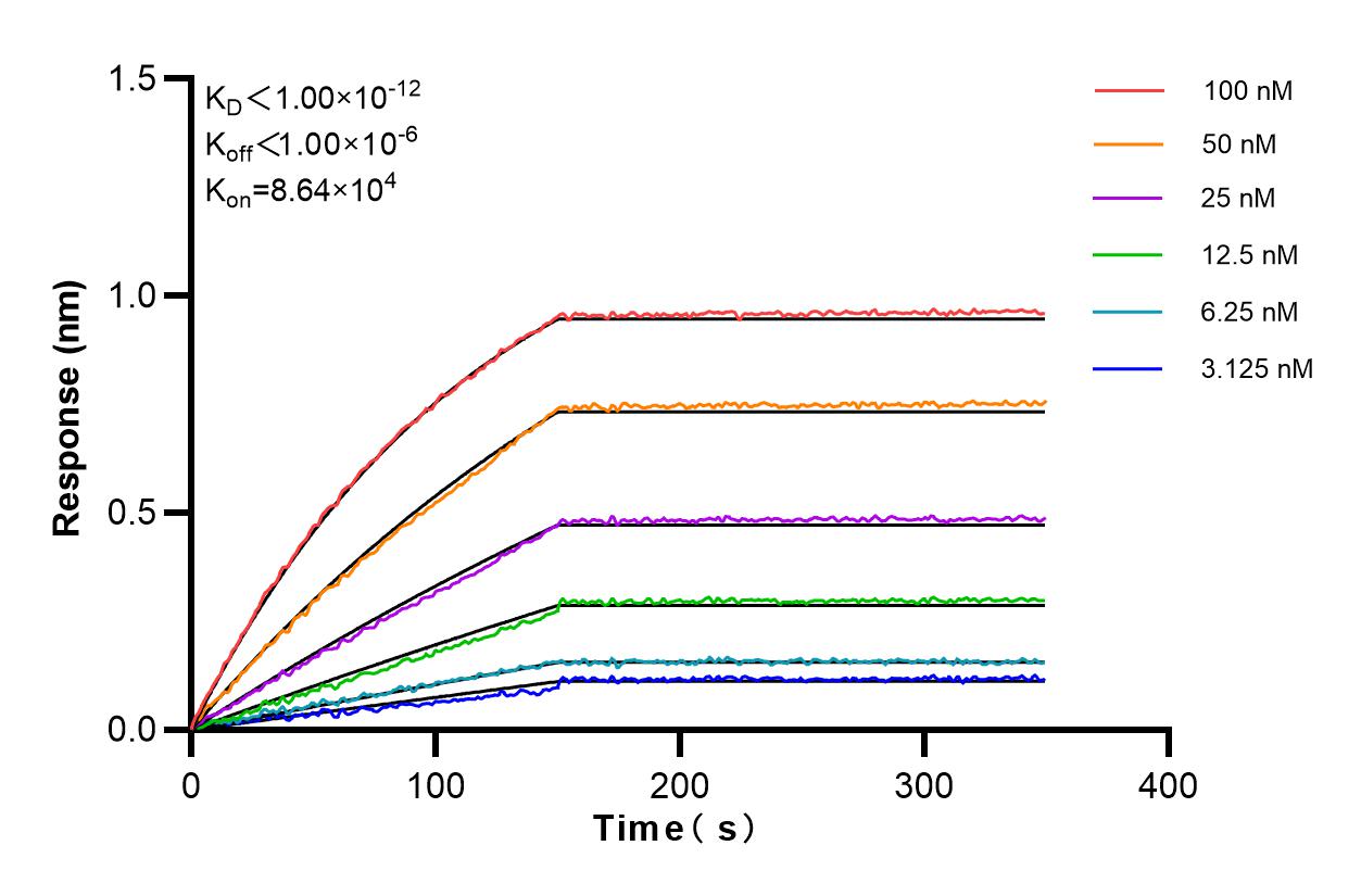 Affinity and Kinetic Characterization of 83490-2-RR