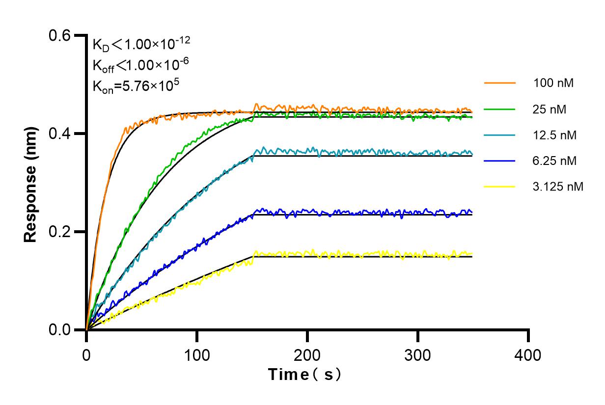 Affinity and Kinetic Characterization of 83492-7-RR