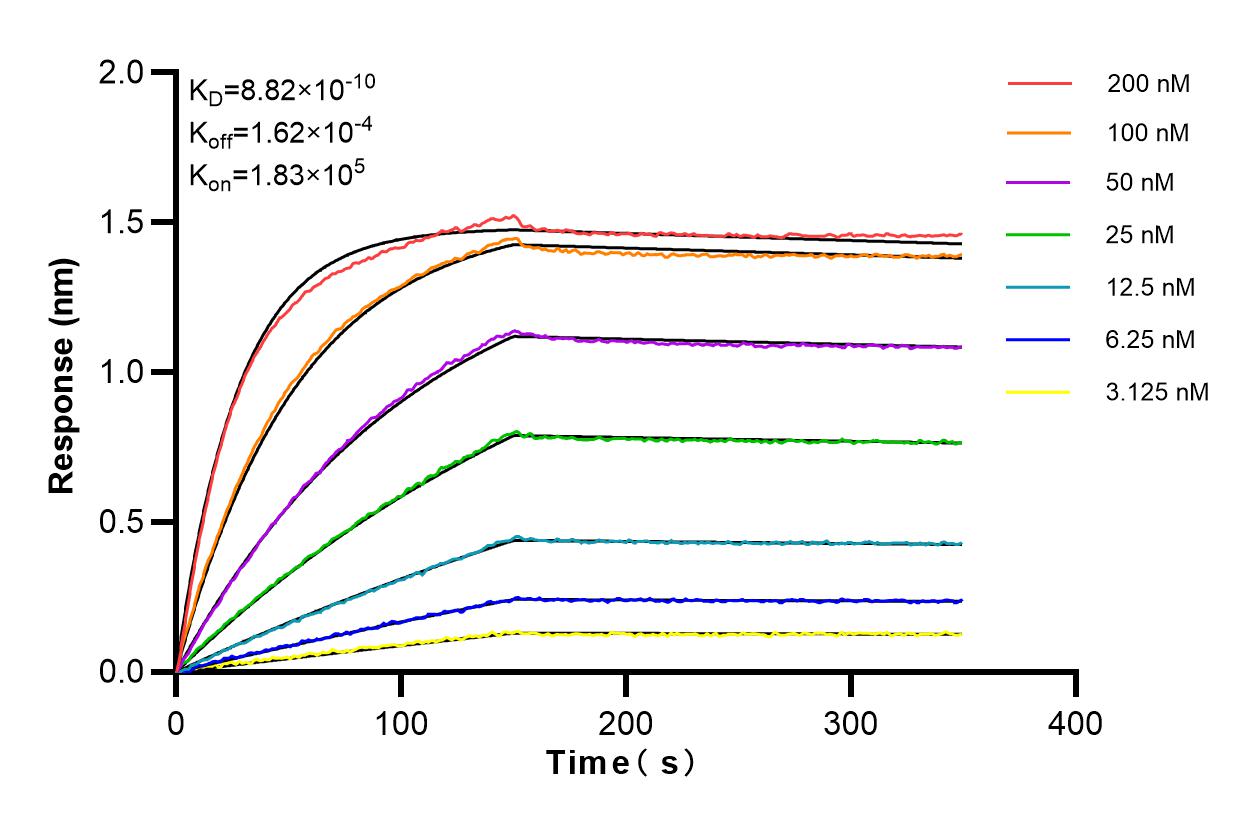 Affinity and Kinetic Characterization of 83494-2-RR