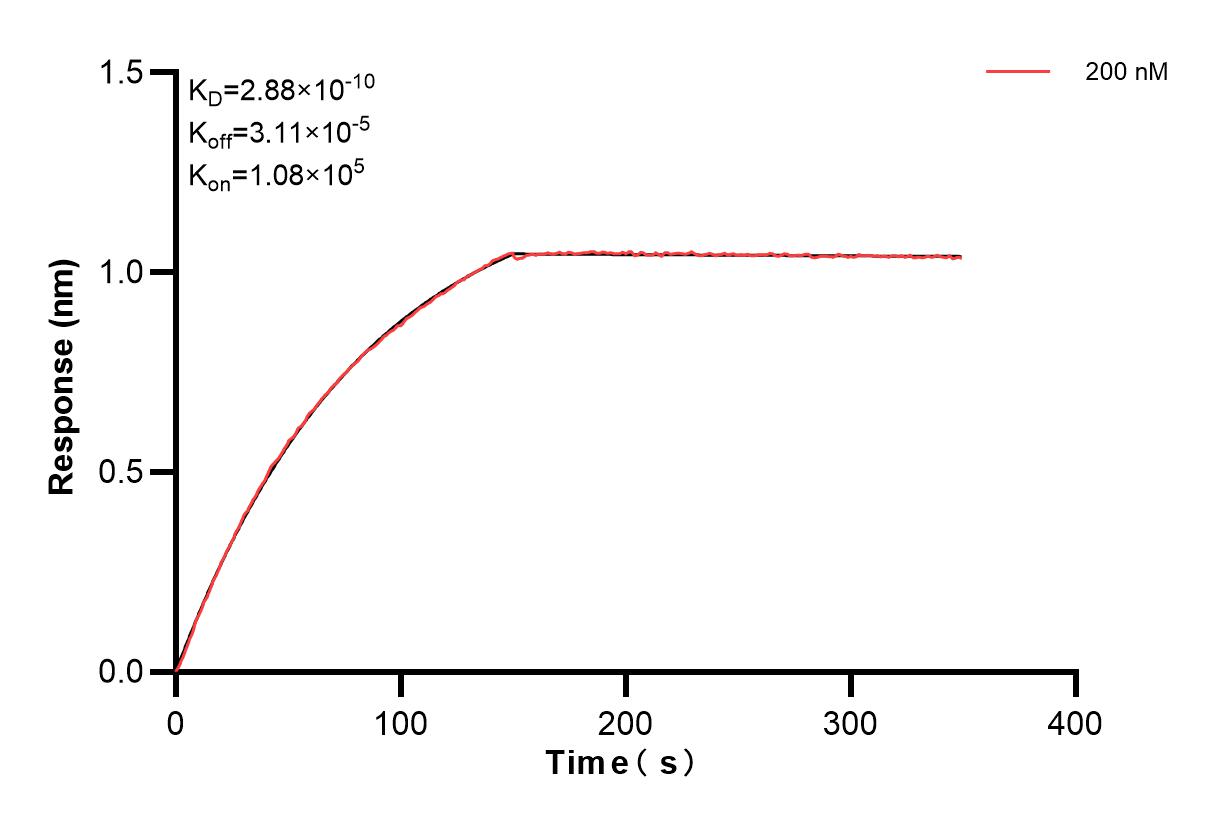 Affinity and Kinetic Characterization of 83495-5-PBS