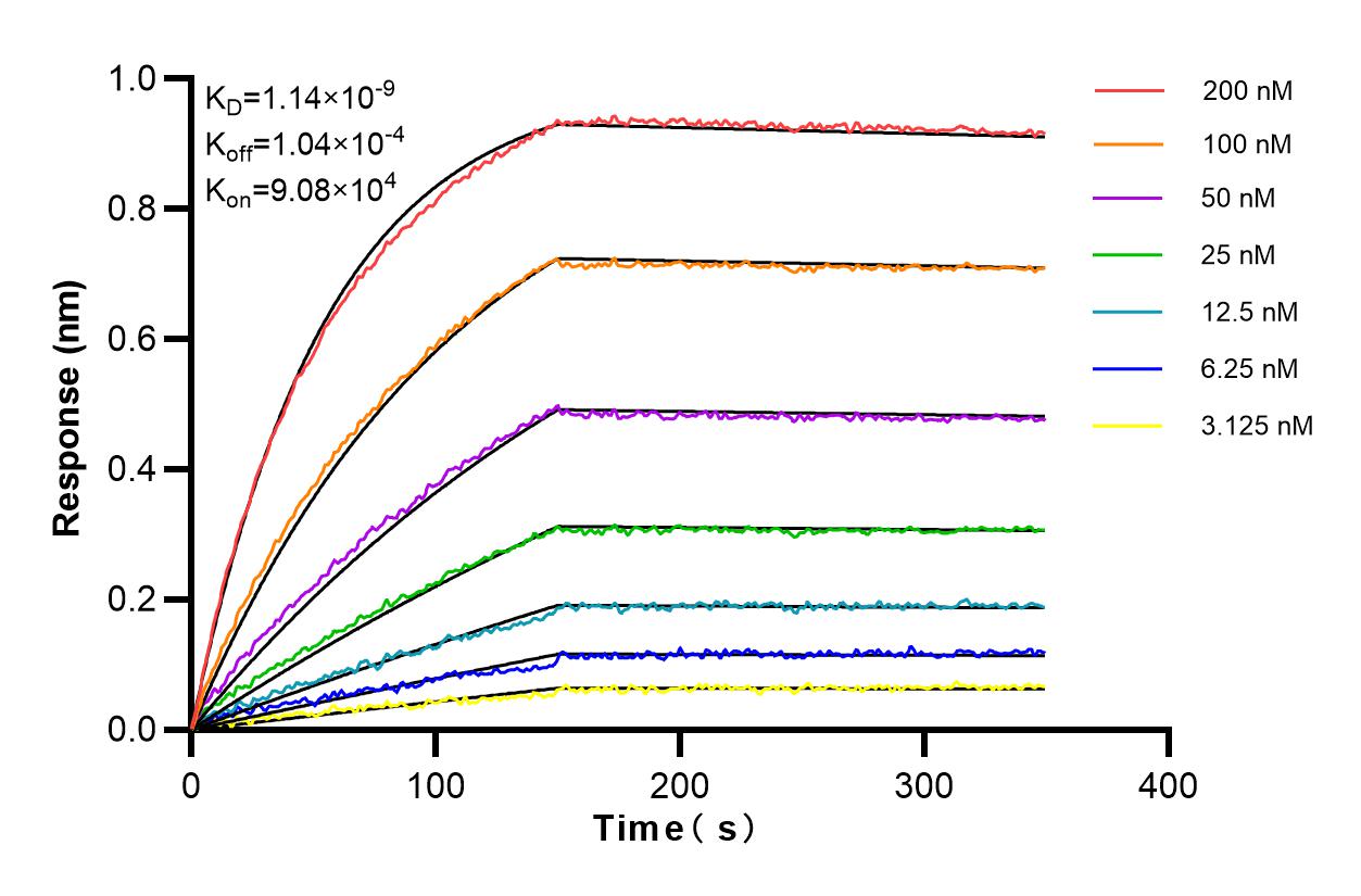 Affinity and Kinetic Characterization of 83495-7-RR