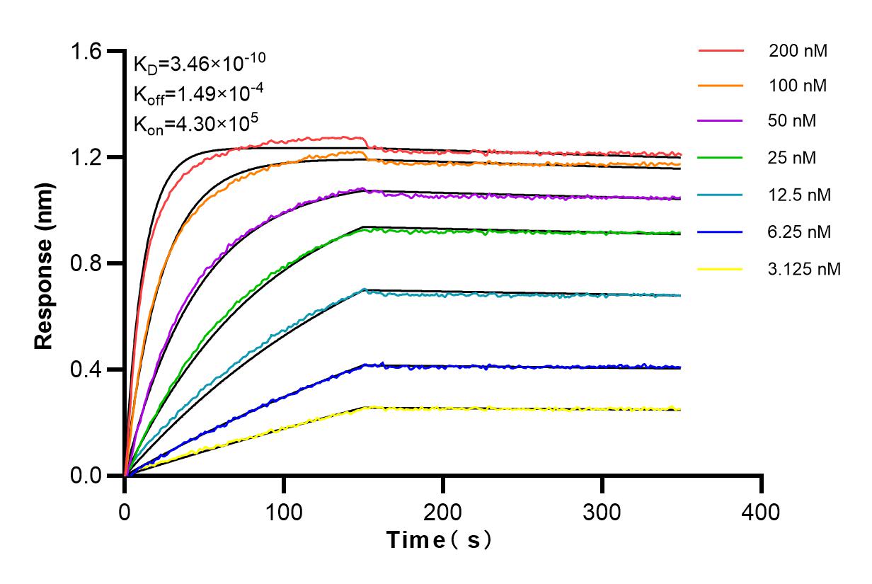 Affinity and Kinetic Characterization of 83496-1-RR