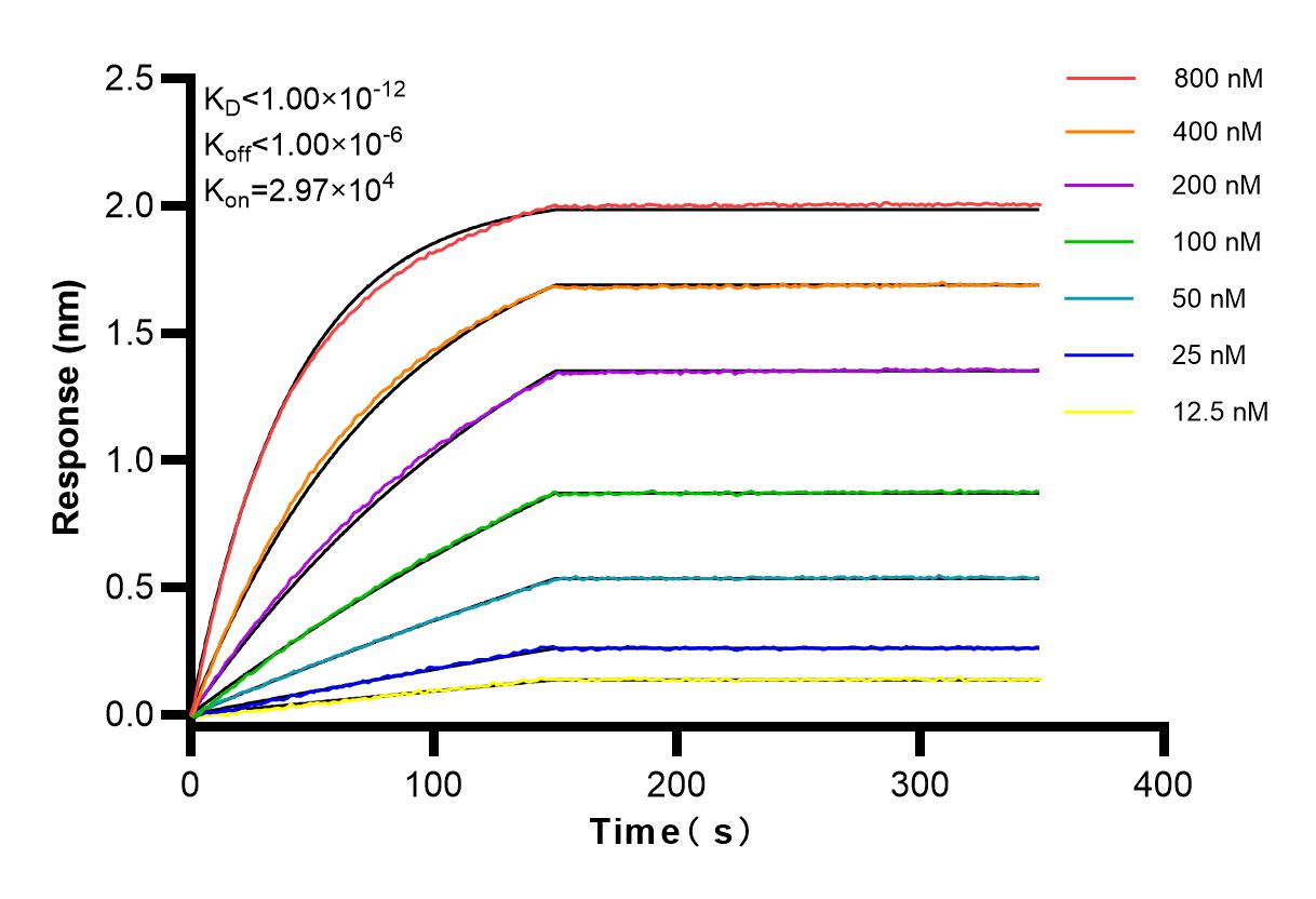 Affinity and Kinetic Characterization of 83500-4-RR