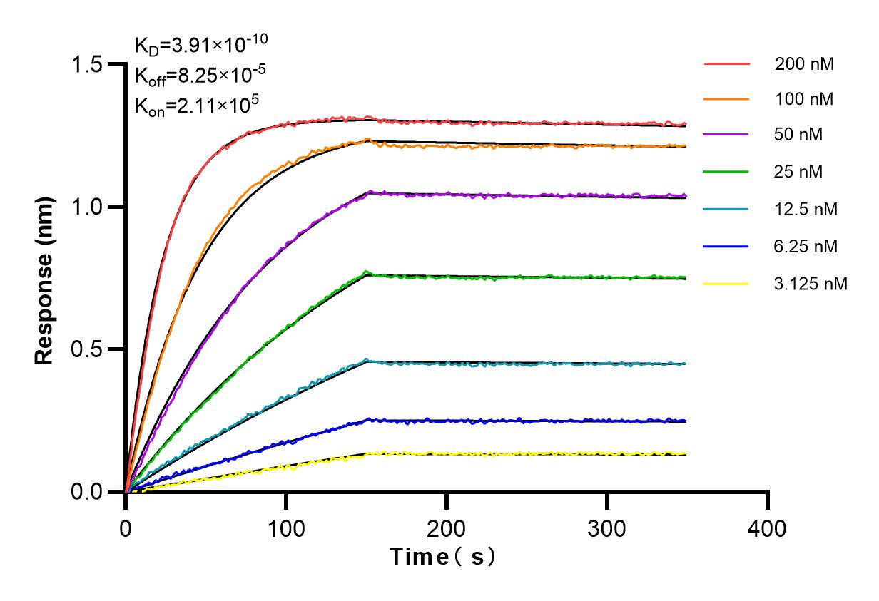 Affinity and Kinetic Characterization of 83513-6-RR