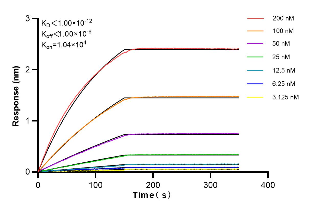 Affinity and Kinetic Characterization of 83516-6-RR