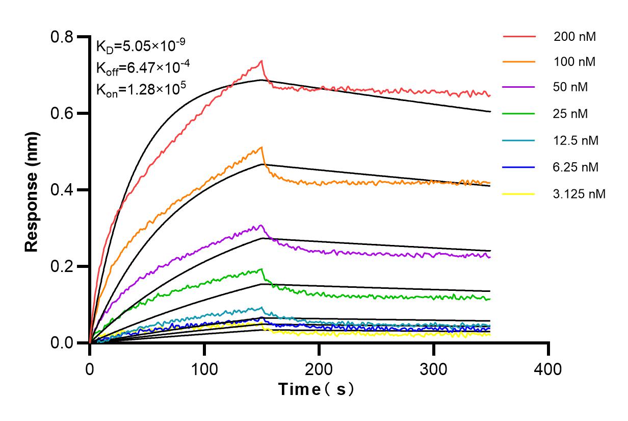 Affinity and Kinetic Characterization of 83517-3-RR