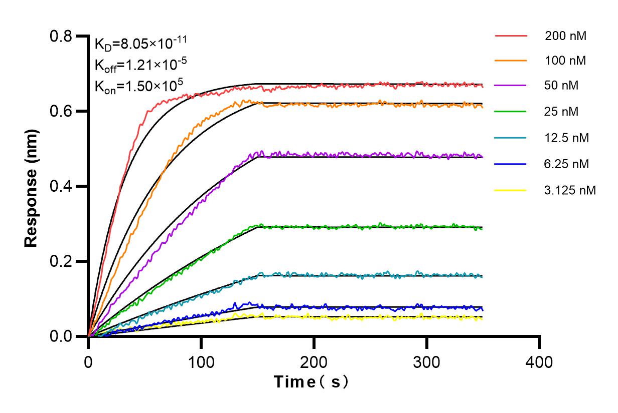 Affinity and Kinetic Characterization of 83532-3-RR