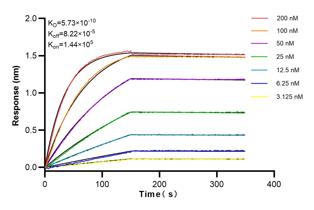 Affinity and Kinetic Characterization of 83546-3-RR