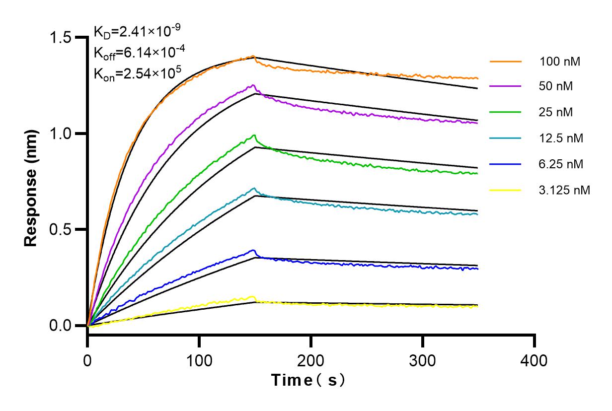 Affinity and Kinetic Characterization of 83548-3-RR