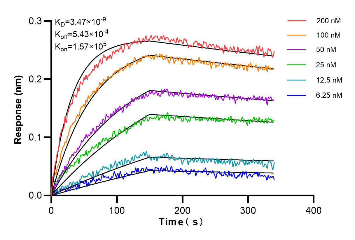 Affinity and Kinetic Characterization of 83551-3-PBS