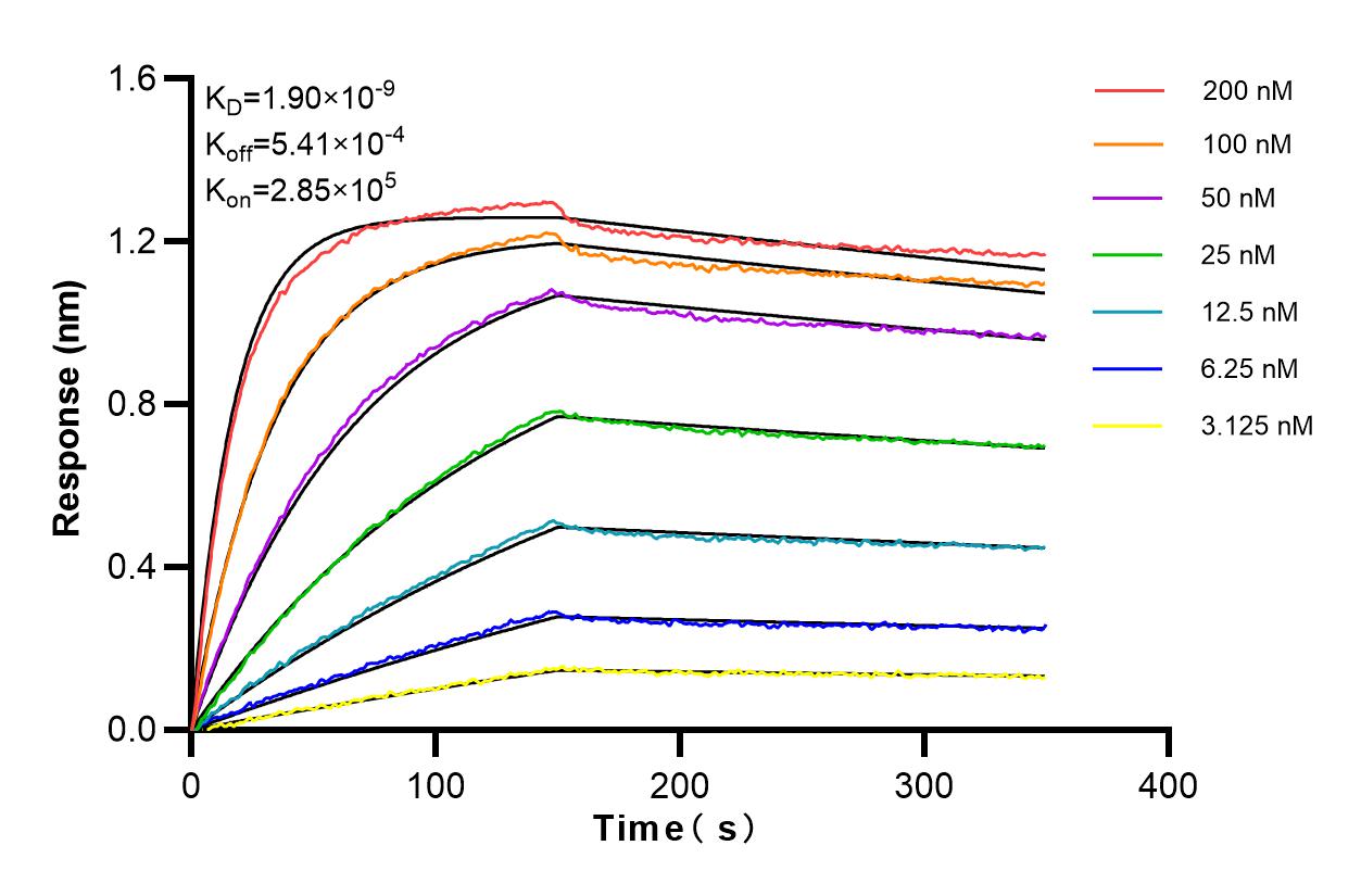 Affinity and Kinetic Characterization of 83561-6-RR