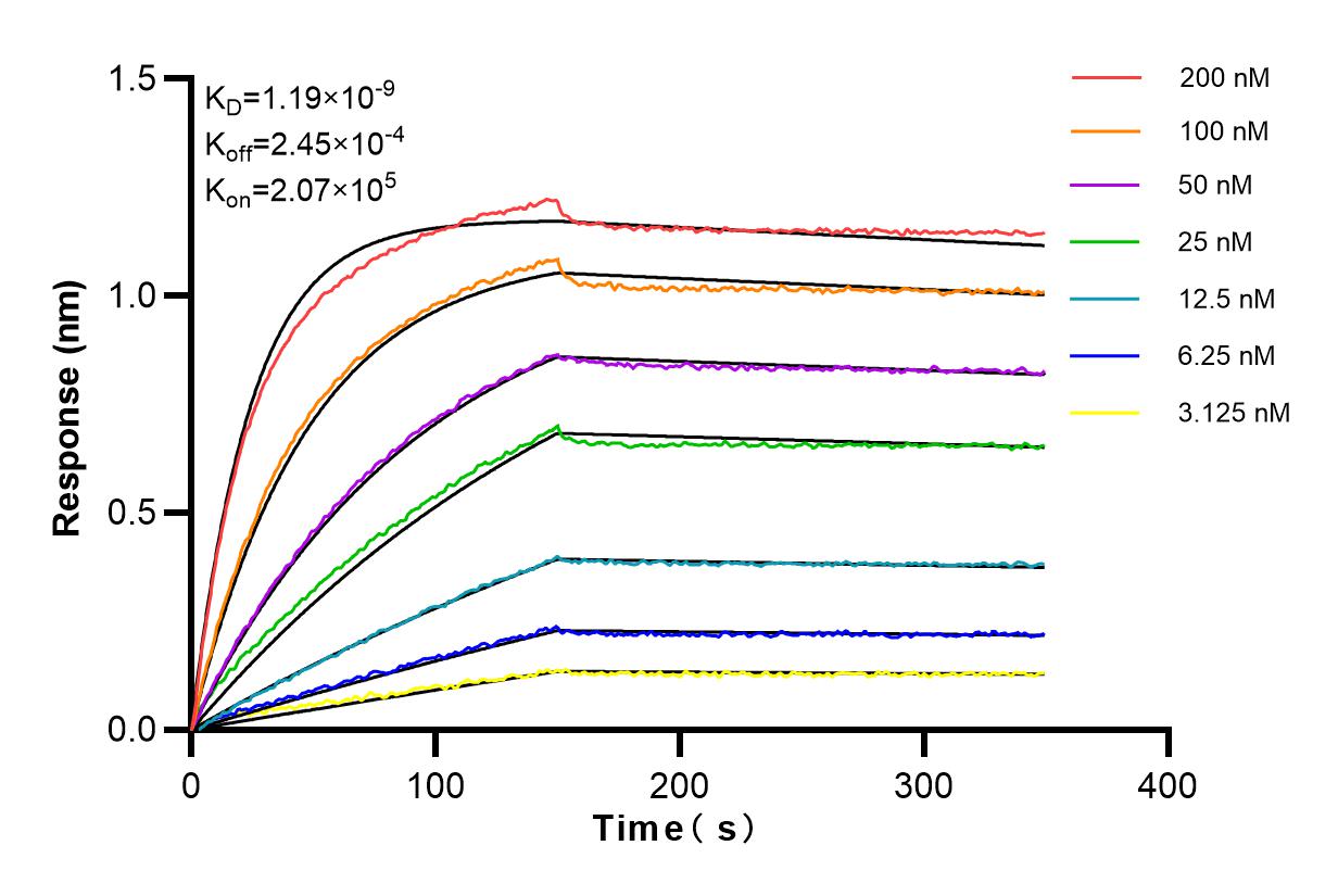 Affinity and Kinetic Characterization of 83562-3-RR