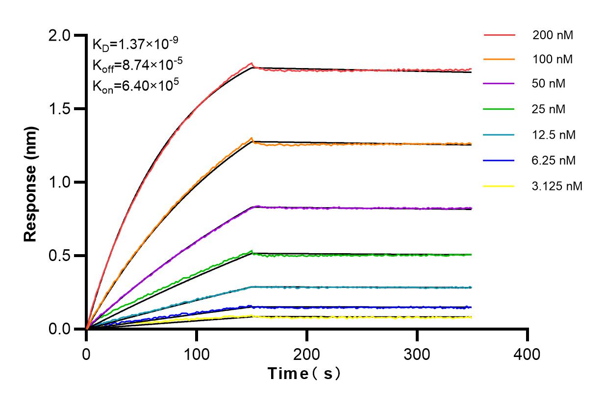 Affinity and Kinetic Characterization of 83569-1-RR