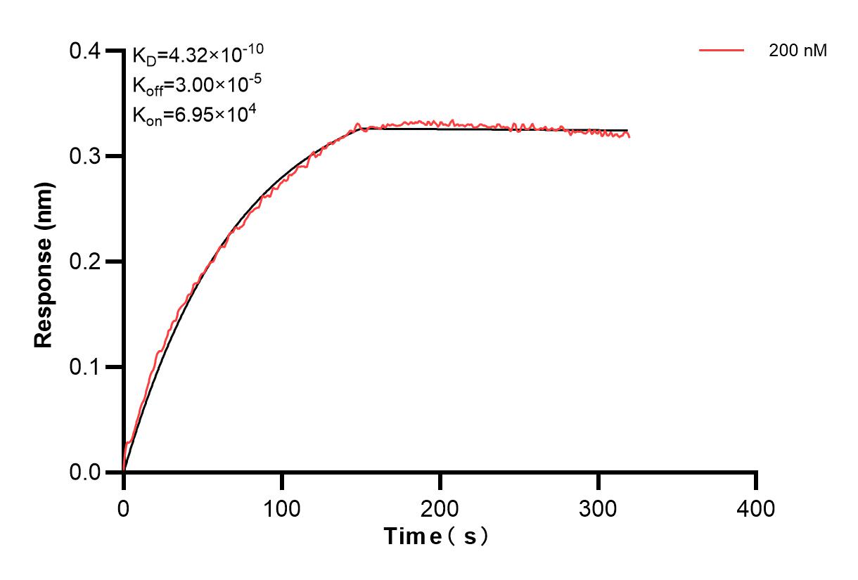 Affinity and Kinetic Characterization of 83569-2-PBS