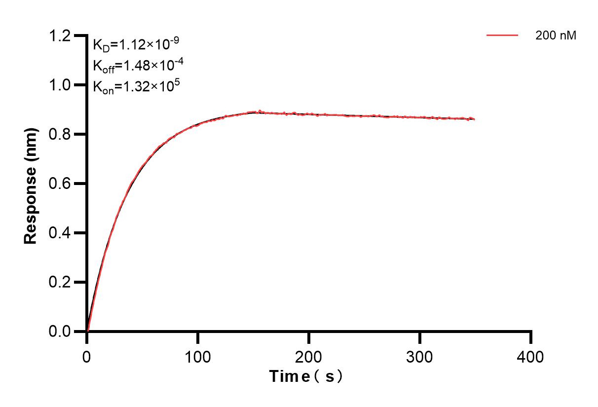 Affinity and Kinetic Characterization of 83578-1-PBS