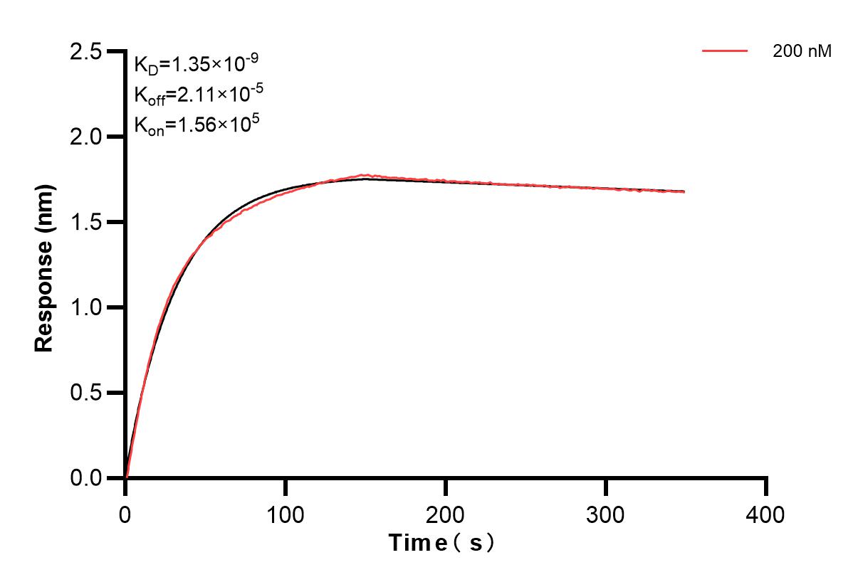 Affinity and Kinetic Characterization of 83578-4-PBS