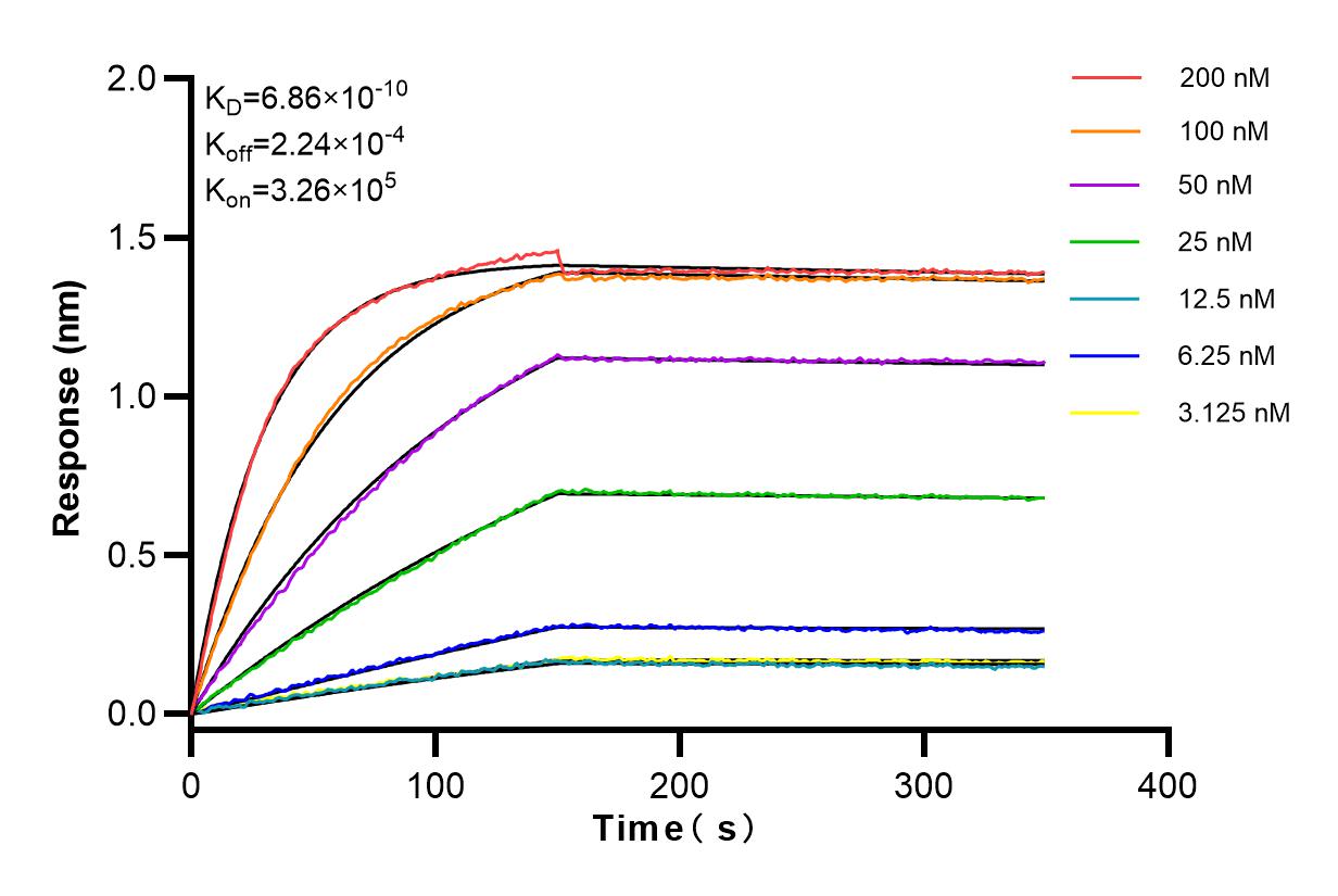 Affinity and Kinetic Characterization of 83582-5-RR