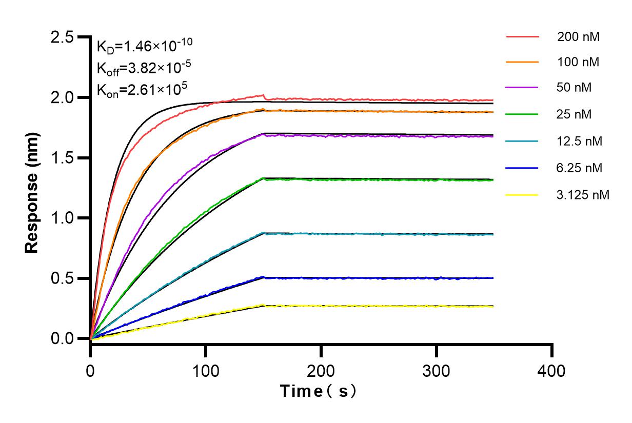 Affinity and Kinetic Characterization of 83590-5-RR