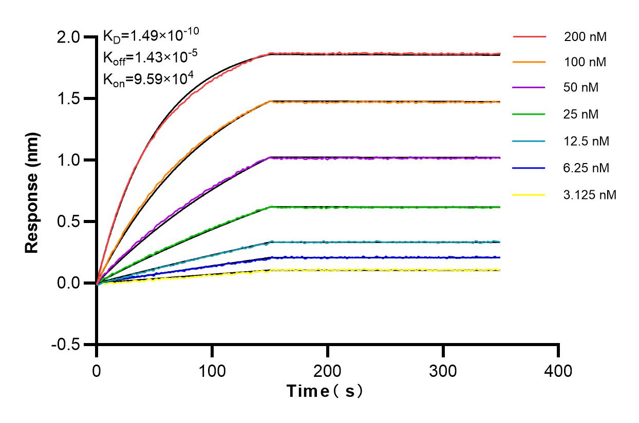 Affinity and Kinetic Characterization of 83590-6-RR