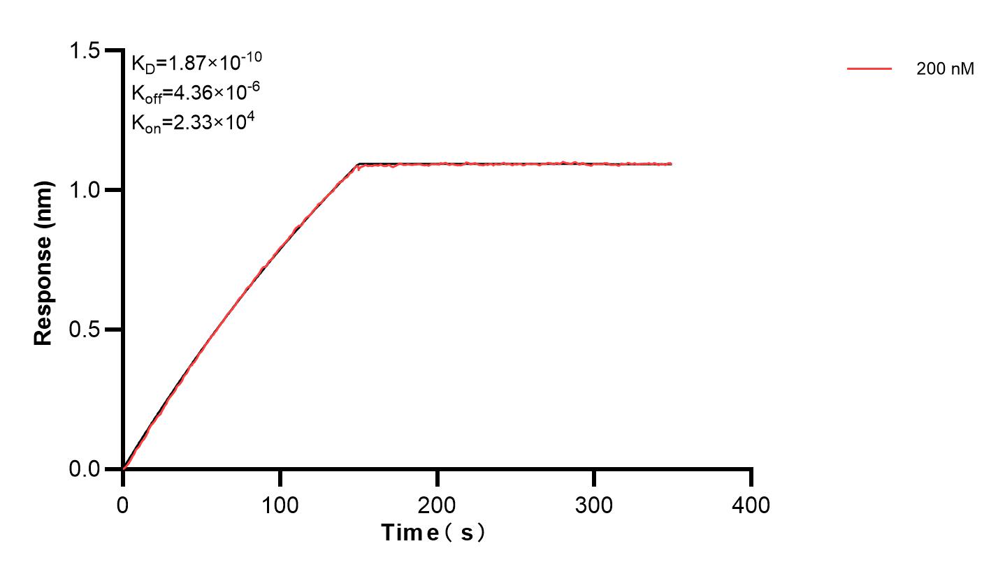 Affinity and Kinetic Characterization of 83598-2-PBS