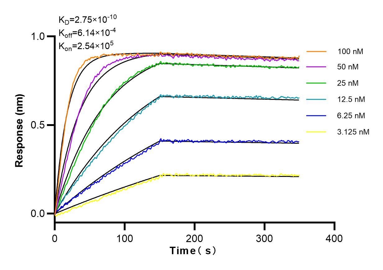 Affinity and Kinetic Characterization of 83600-2-RR