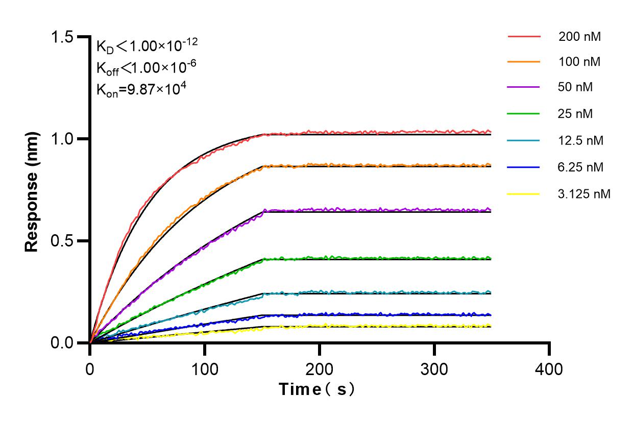 Affinity and Kinetic Characterization of 83601-2-RR