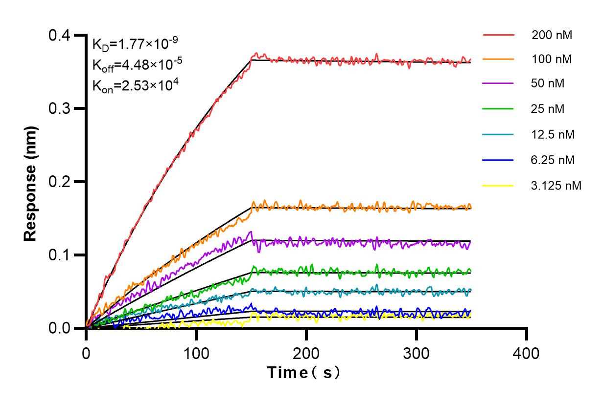 Affinity and Kinetic Characterization of 83603-4-RR