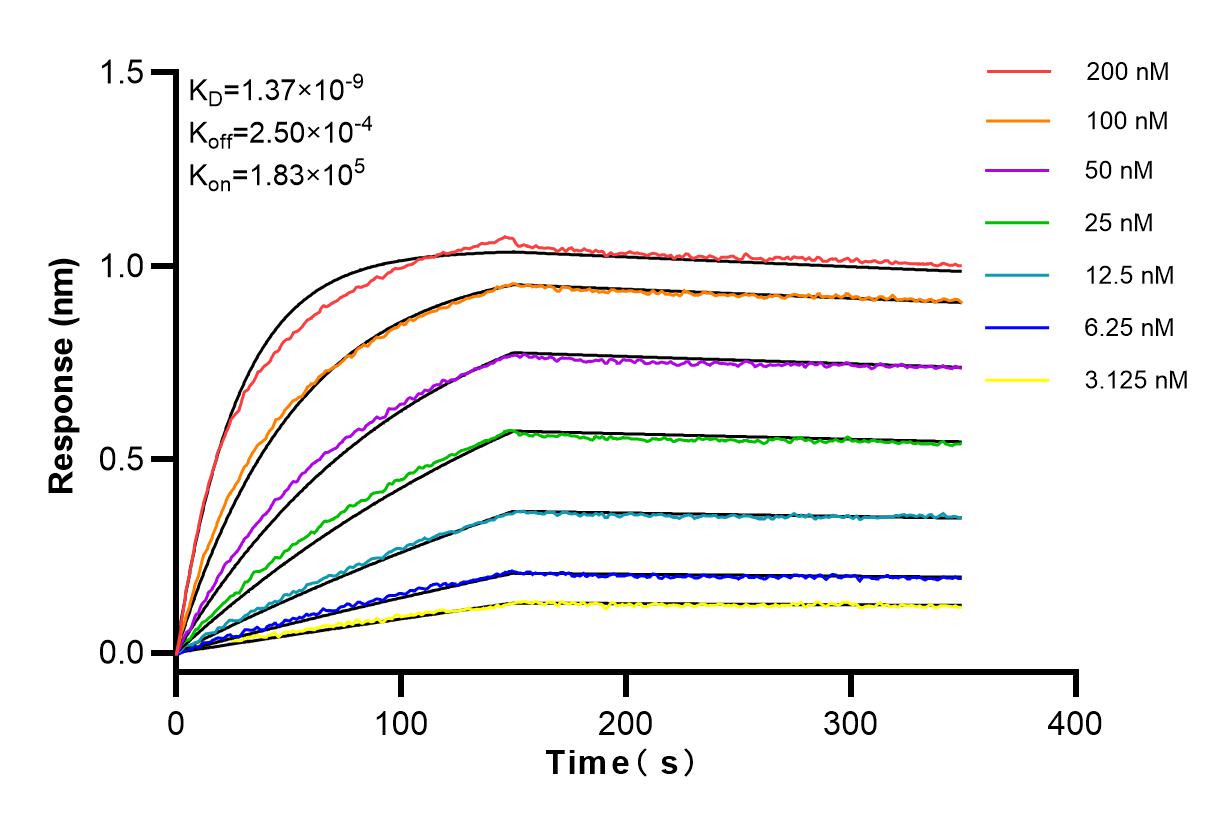 Affinity and Kinetic Characterization of 83605-6-RR