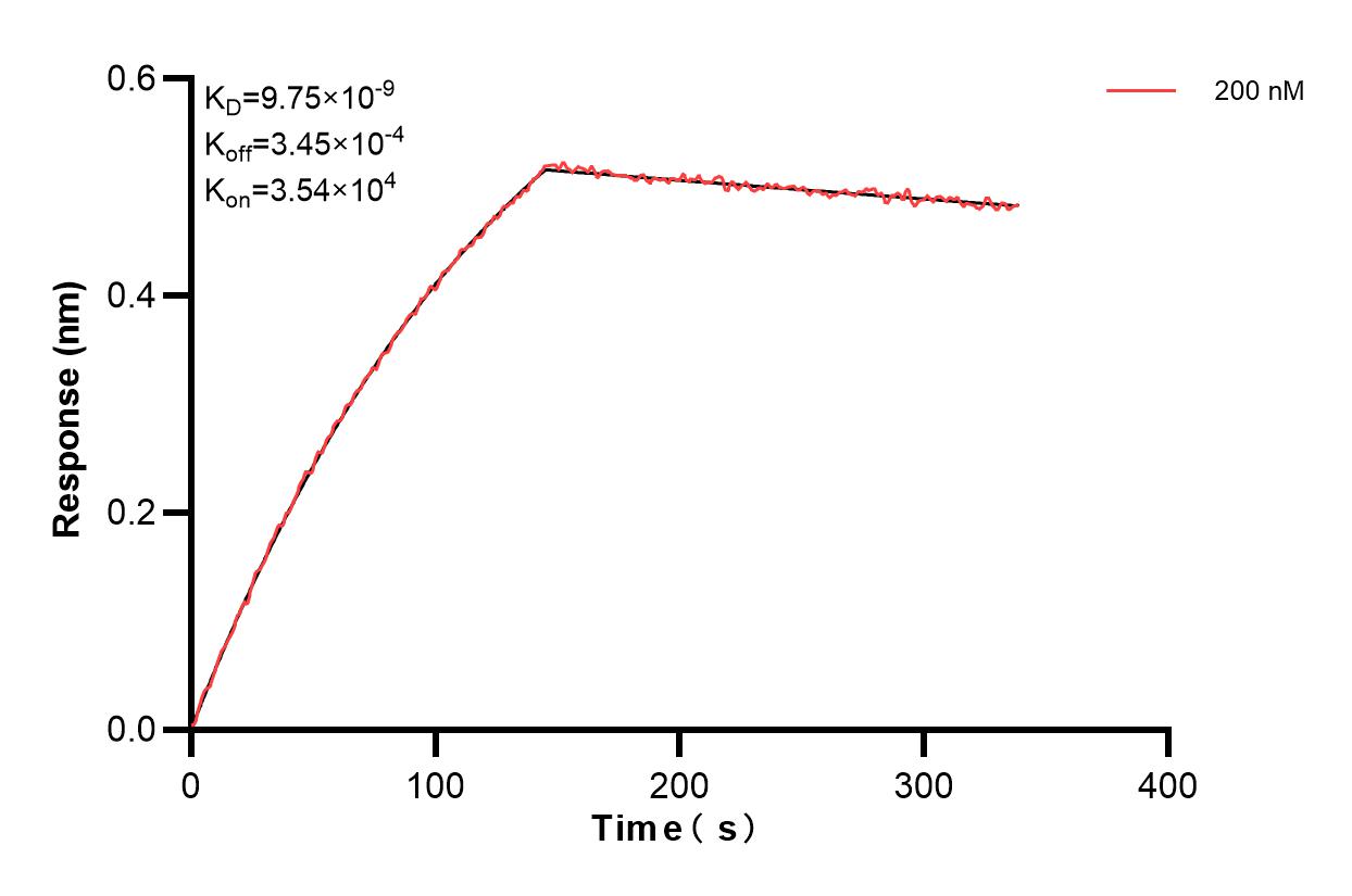 Affinity and Kinetic Characterization of 83606-2-PBS
