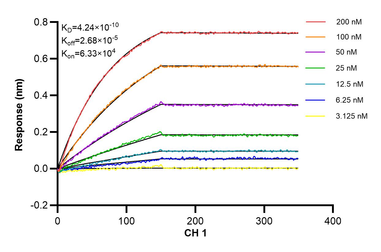 Affinity and Kinetic Characterization of 83607-6-RR