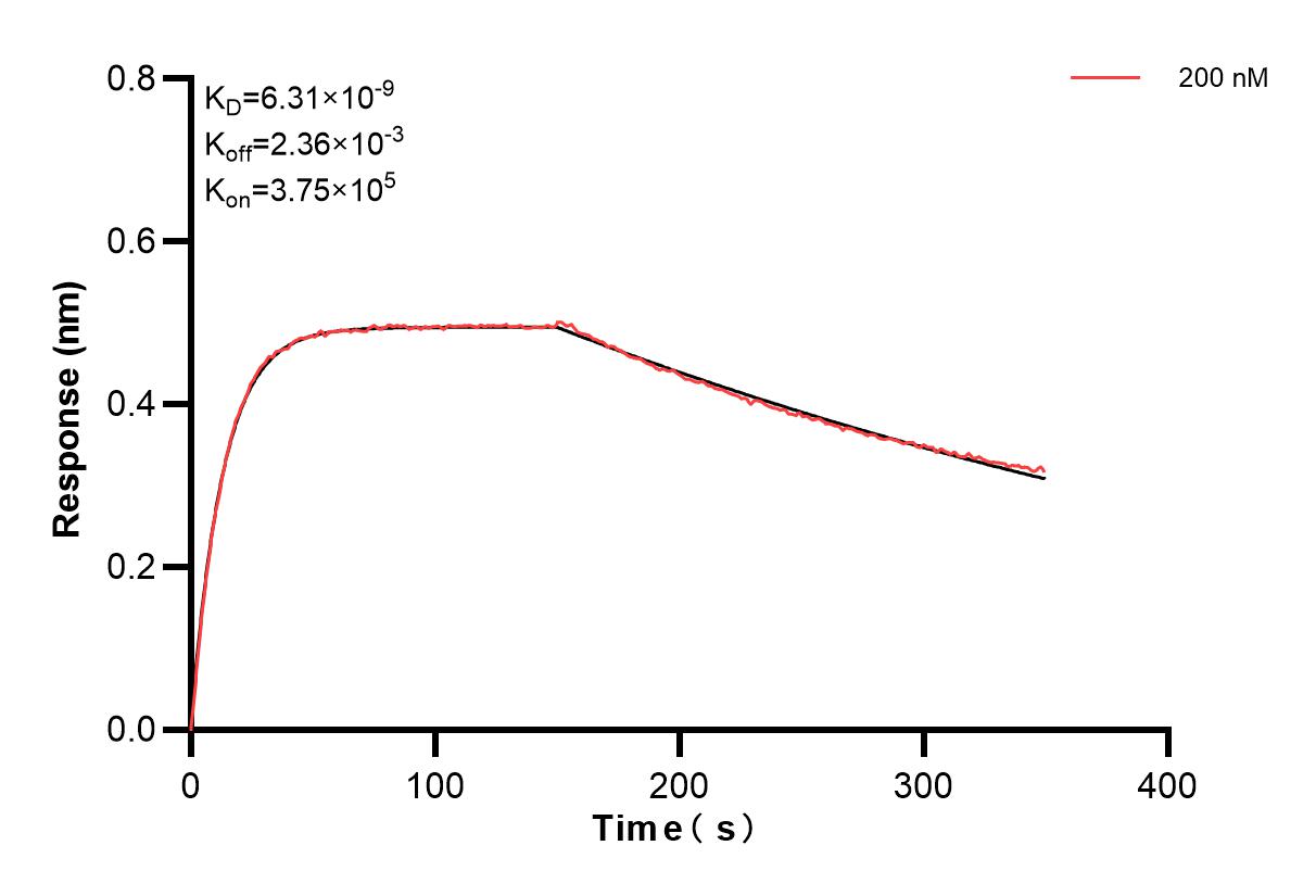 Affinity and Kinetic Characterization of 83621-1-PBS