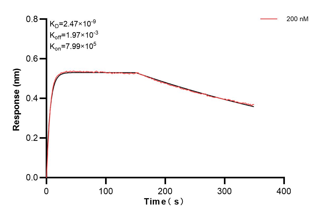 Affinity and Kinetic Characterization of 83621-3-PBS